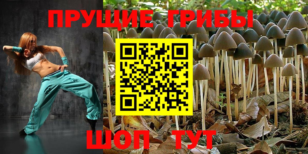 Галлюциногенные грибы Magic Shrooms Гуково