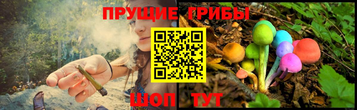 Галлюциногенные грибы GOLDEN TEACHER  Вход с VPN  Гуково 